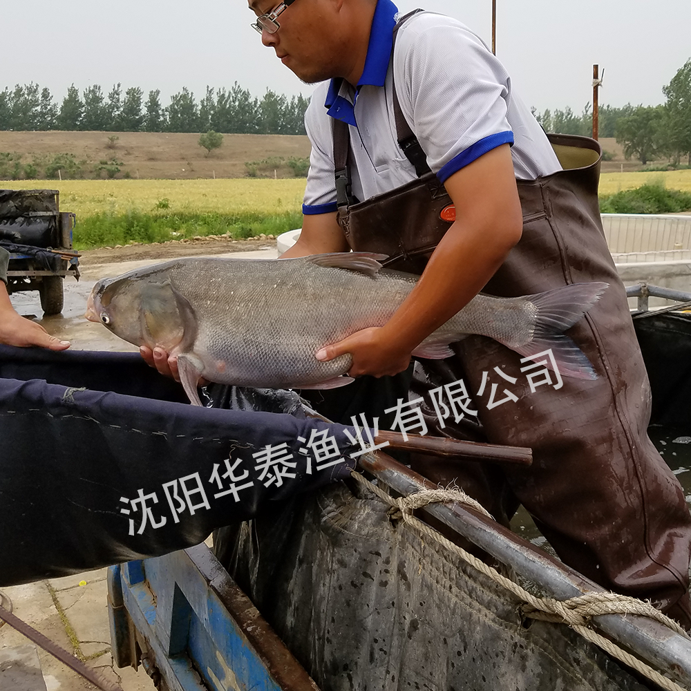 &#19975;&#35937;&#22478;&#22312;&#32447;&#30331;&#24405;&#32;&#45;&#32;&#19975;&#35937;&#22478;&#65288;&#20013;&#22269;&#65289;&#45;&#19975;&#35937;&#22478;&#65288;&#20013;&#22269;&#65289;