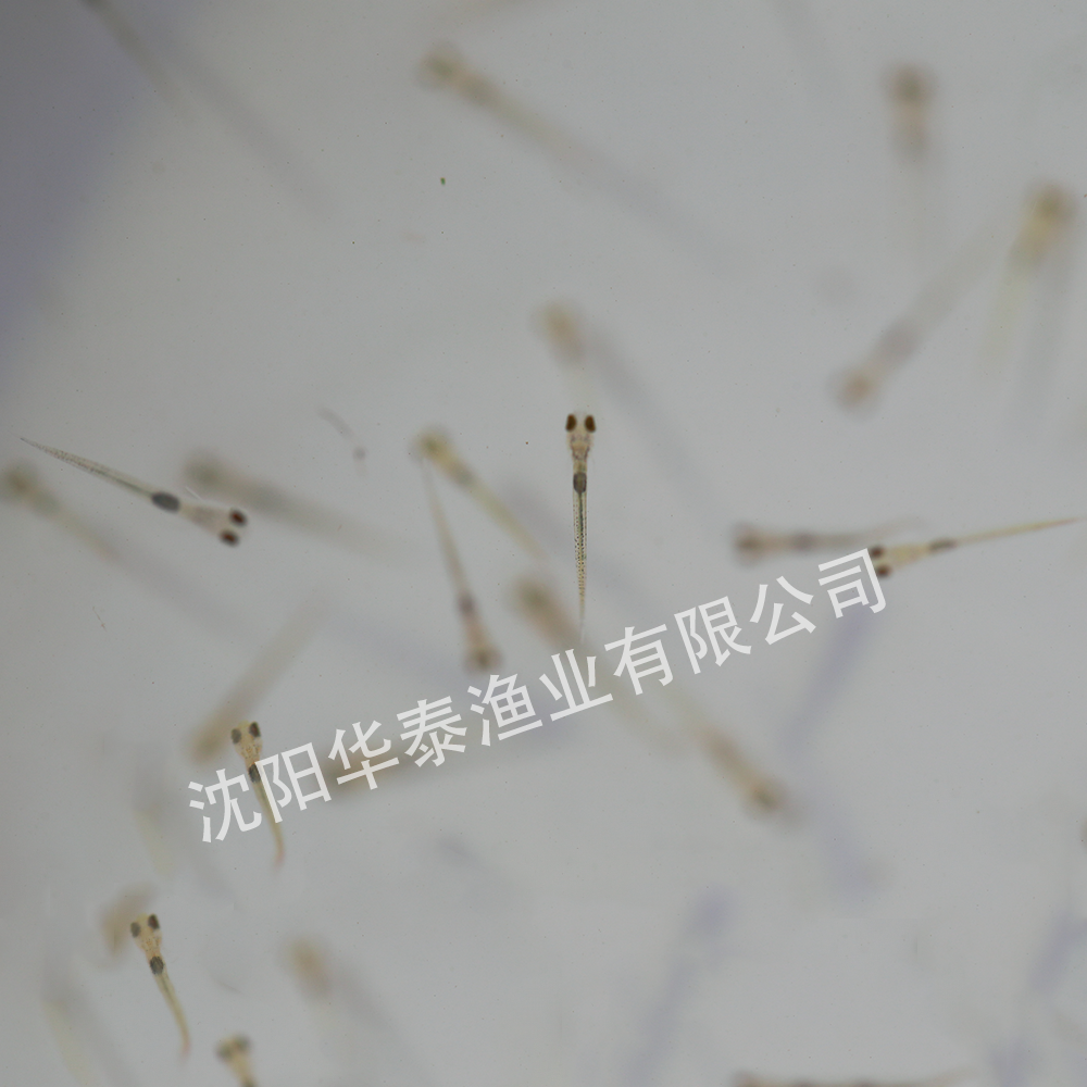 &#19975;&#35937;&#22478;&#22312;&#32447;&#30331;&#24405;&#32;&#45;&#32;&#19975;&#35937;&#22478;&#65288;&#20013;&#22269;&#65289;&#45;&#19975;&#35937;&#22478;&#65288;&#20013;&#22269;&#65289;
