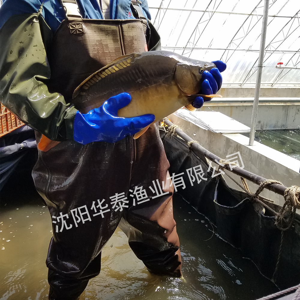 &#19975;&#35937;&#22478;&#22312;&#32447;&#30331;&#24405;&#32;&#45;&#32;&#19975;&#35937;&#22478;&#65288;&#20013;&#22269;&#65289;&#45;&#19975;&#35937;&#22478;&#65288;&#20013;&#22269;&#65289;